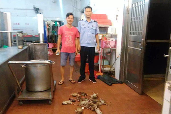 石歧區(qū)提供殺蟑螂價格