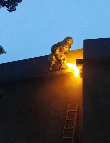 中山市民遇到馬蜂窩切莫胡亂捅，消防員教您