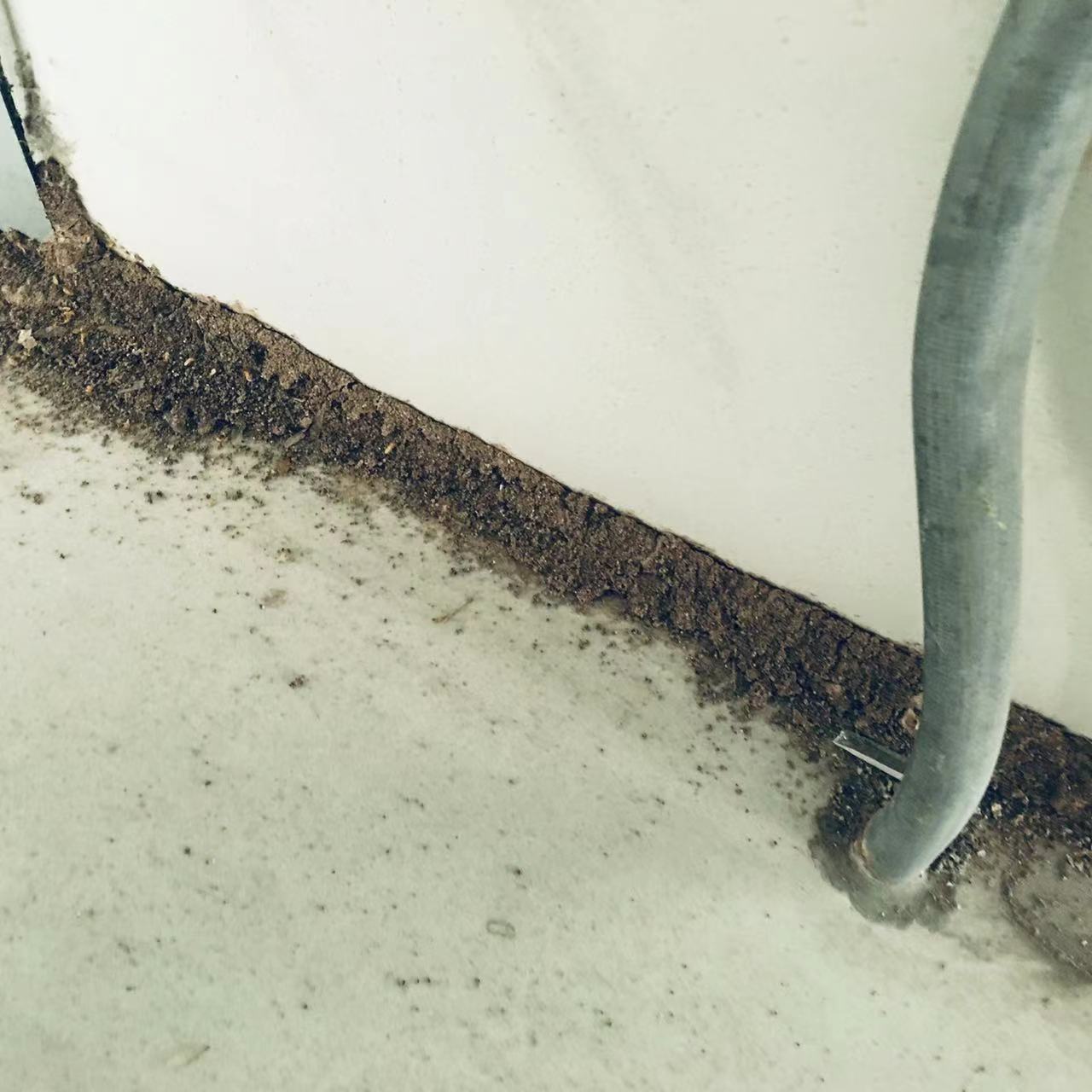 微信圖片_20220609213321.jpg 微信圖片_20220609213321.jpg