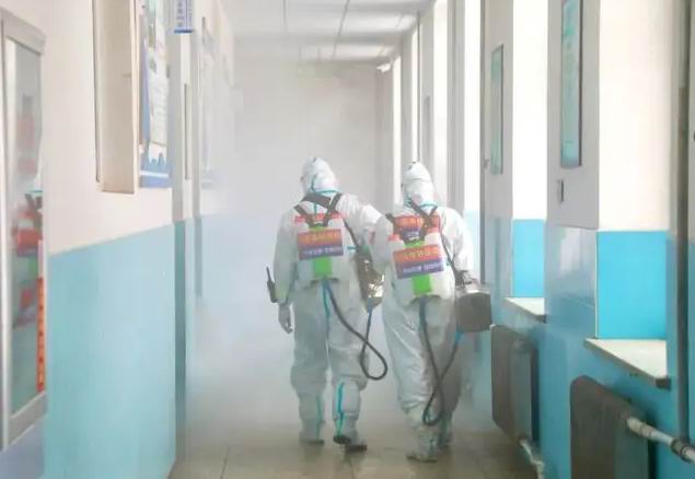 中山滅老鼠殺蚊子 中山快速控制老鼠蚊子