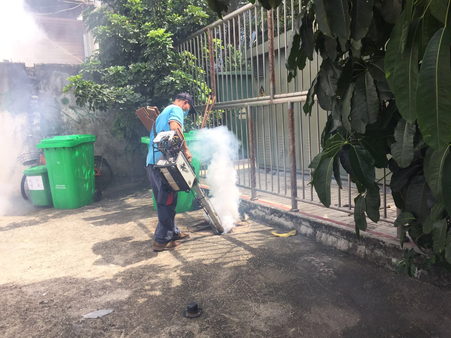 南屏正規(guī)白蟻預防價格