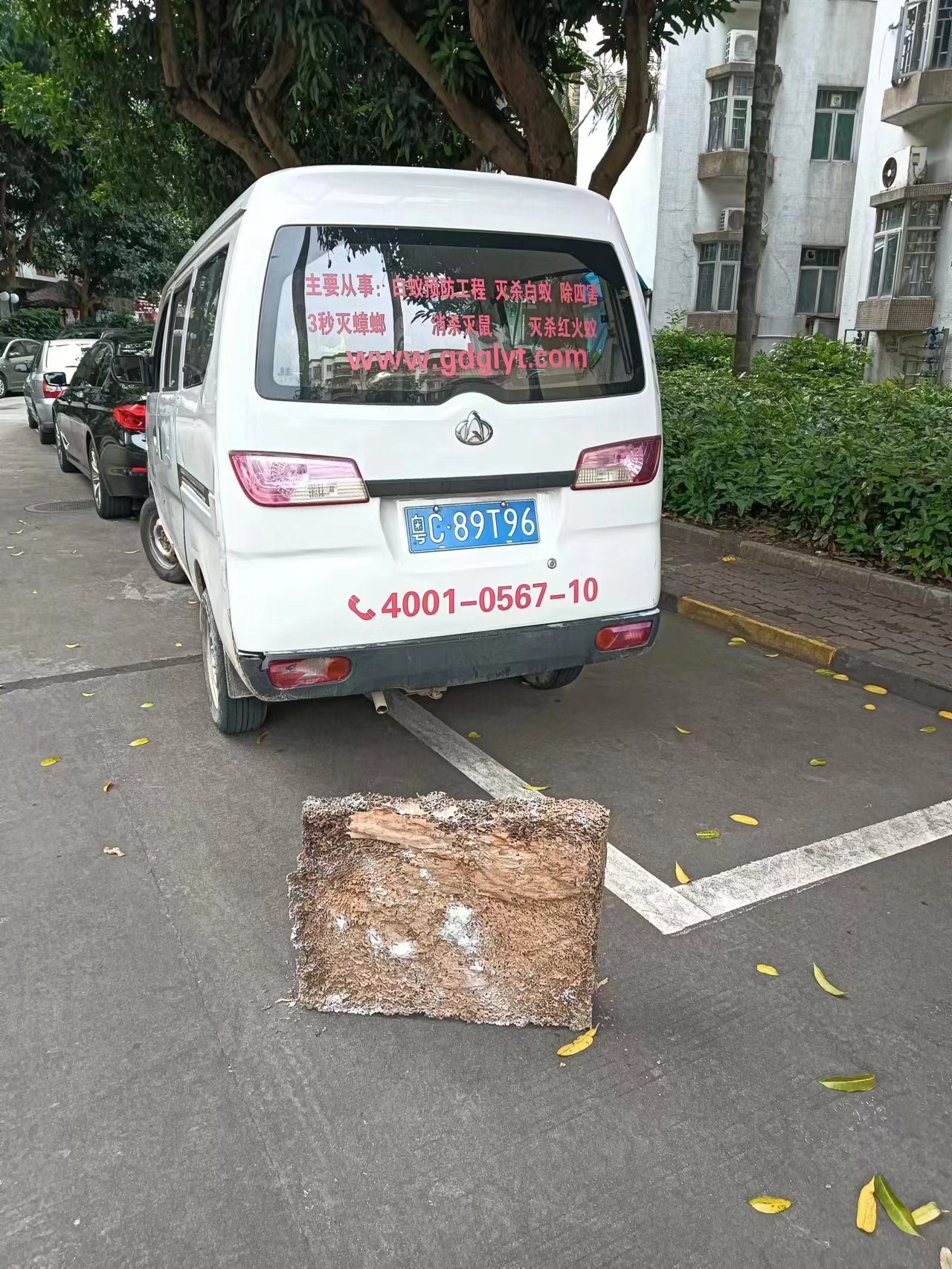 三鄉(xiāng)鎮(zhèn)白蟻防治 三鄉(xiāng)鎮(zhèn)白蟻預(yù)防 三鄉(xiāng)鎮(zhèn)殺