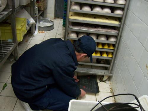 專(zhuān)業(yè)滅鼠公司 專(zhuān)業(yè)滅鼠公司