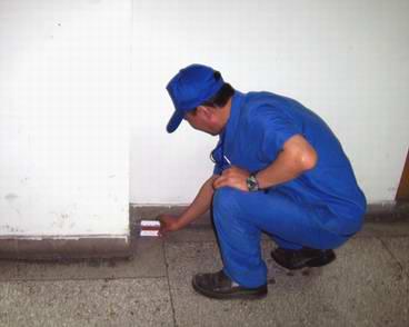 專業(yè)滅鼠公司 專業(yè)滅鼠公司