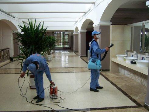 專業(yè)殺蟲公司 專業(yè)殺蟲公司