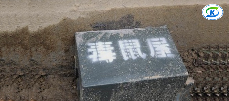 商超、連鎖業(yè)蟲害防治(圖4)