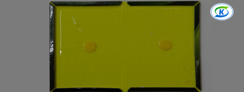 商超、連鎖業(yè)蟲害防治(圖5)