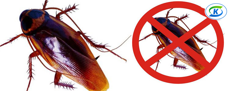 商超、連鎖業(yè)蟲害防治(圖10)